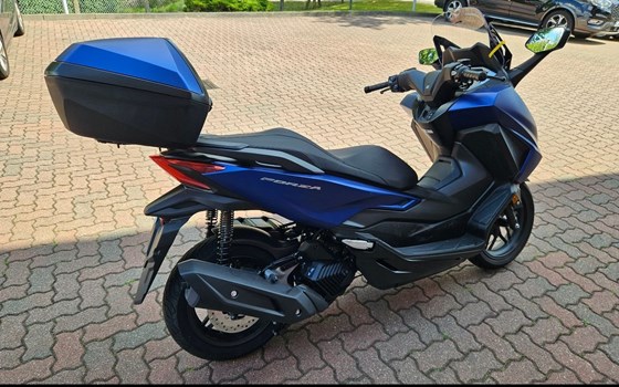 Gebrauchtmotorrad Honda Forza 125 - Bild 3