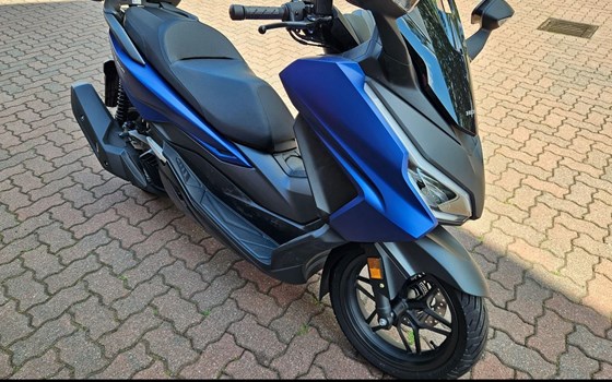 Gebrauchtmotorrad Honda Forza 125 - Bild 4