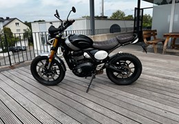 Gebrauchte Triumph Scrambler 400 X