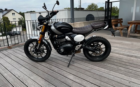 Gebrauchtmotorrad Triumph Scrambler 400 X - Bild 1