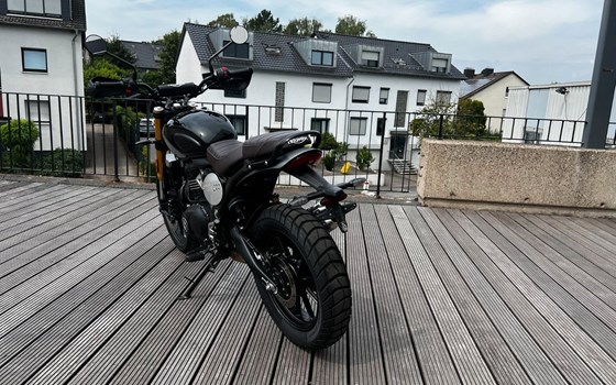 Gebrauchtmotorrad Triumph Scrambler 400 X - Bild 3