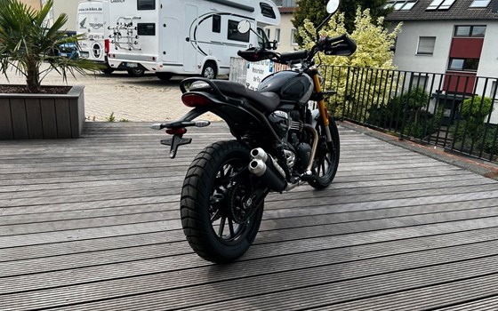 Gebrauchtmotorrad Triumph Scrambler 400 X - Bild 4