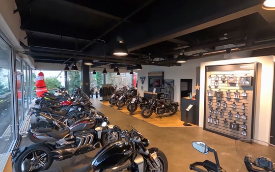 Gebrauchtmotorrad Triumph Scrambler 400 X - Bild 9