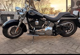 Gebrauchte Harley-Davidson Softail Deluxe FLSTN