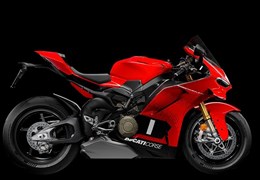 Neumotorrad Ducati Panigale V4 S Corse