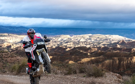 Gebrauchtmotorrad Ducati DesertX - Bild 11