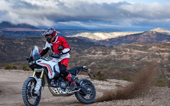 Gebrauchtmotorrad Ducati DesertX - Bild 12