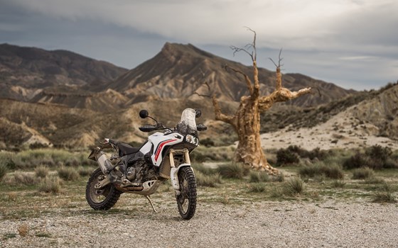 Gebrauchtmotorrad Ducati DesertX - Bild 2