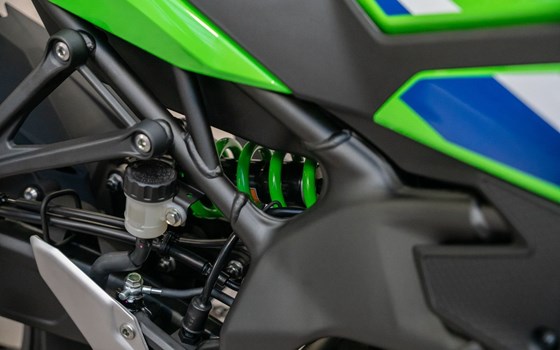 Neufahrzeug Kawasaki Ninja ZX-4RR - Bild 18