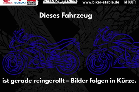Top 5: Die besten starken Roller für Pendler im harten Berufsverkehr.