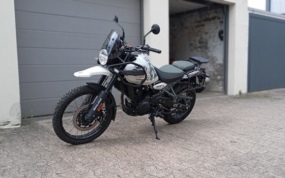 Gebrauchtmotorrad Royal Enfield Himalayan 450 - Bild 3