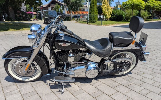 Gebrauchtmotorrad Harley-Davidson Softail Deluxe FLSTN - Bild 3