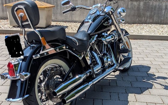 Gebrauchtmotorrad Harley-Davidson Softail Deluxe FLSTN - Bild 6