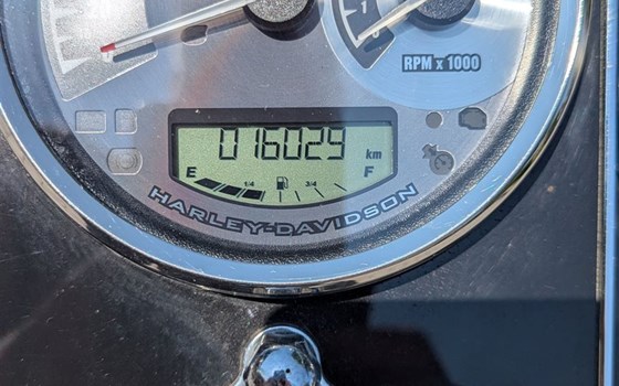 Gebrauchtmotorrad Harley-Davidson Softail Deluxe FLSTN - Bild 8