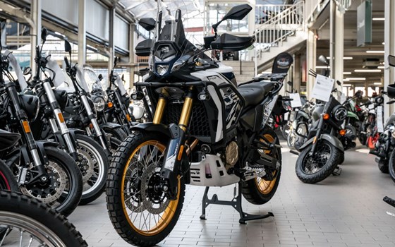 Neufahrzeug Voge DS800X Rally - Bild 2