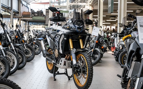 Neufahrzeug Voge DS800X Rally - Bild 6