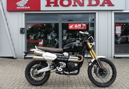 Gebrauchte Triumph Scrambler 1200 XE