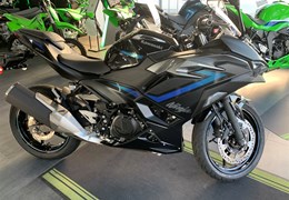 Neumotorrad Kawasaki Ninja 500 SE