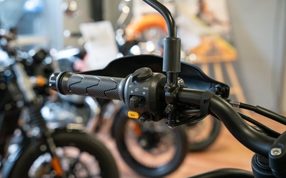 Neufahrzeug Royal Enfield Himalayan 450 - Bild 9