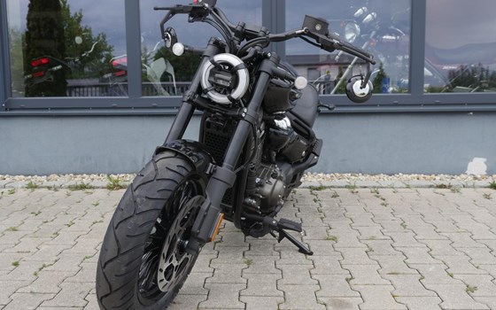 Neufahrzeug Benda Chinchilla 350 CVT - Bild 13