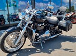 Angebot Triumph Thunderbird