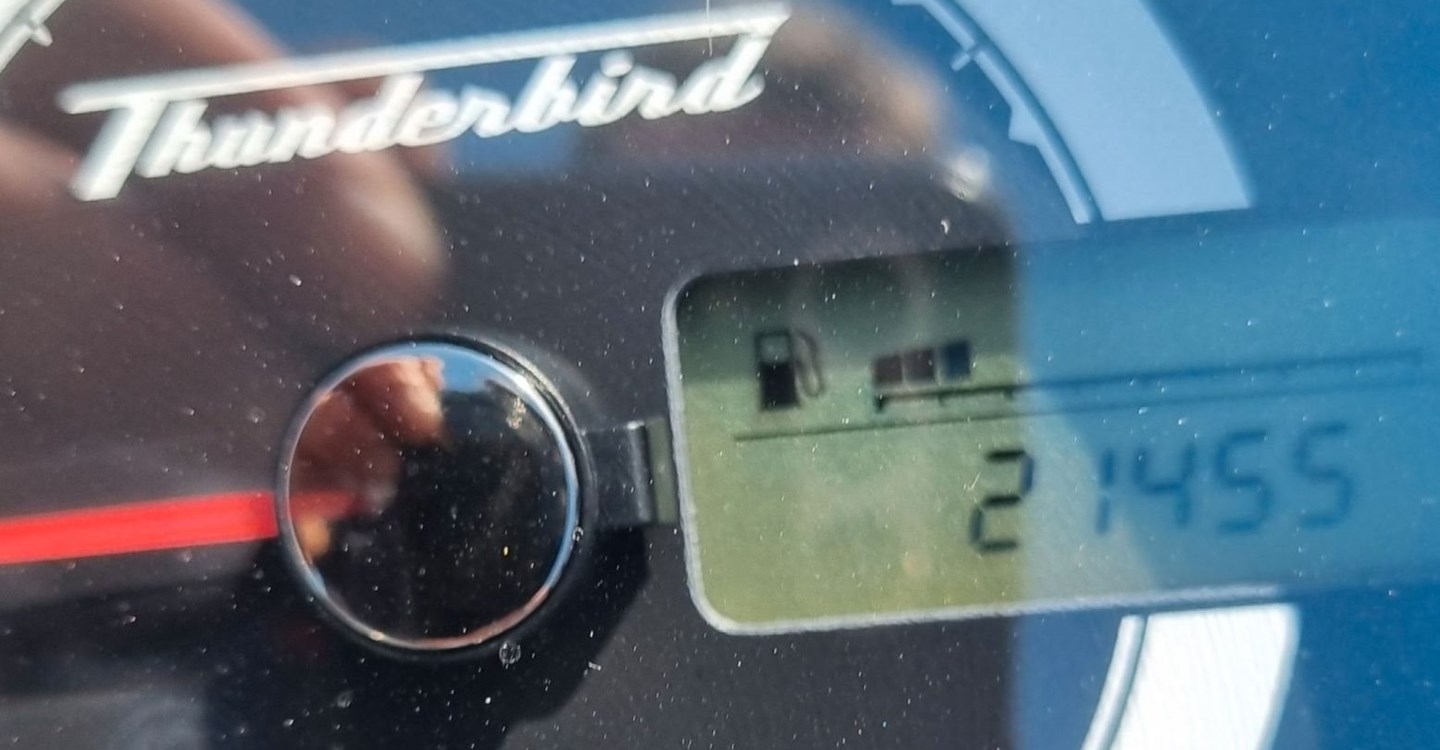 Angebot Triumph Thunderbird