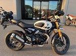 Angebot Triumph Scrambler 400 XC