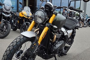 Angebot Triumph Scrambler 900