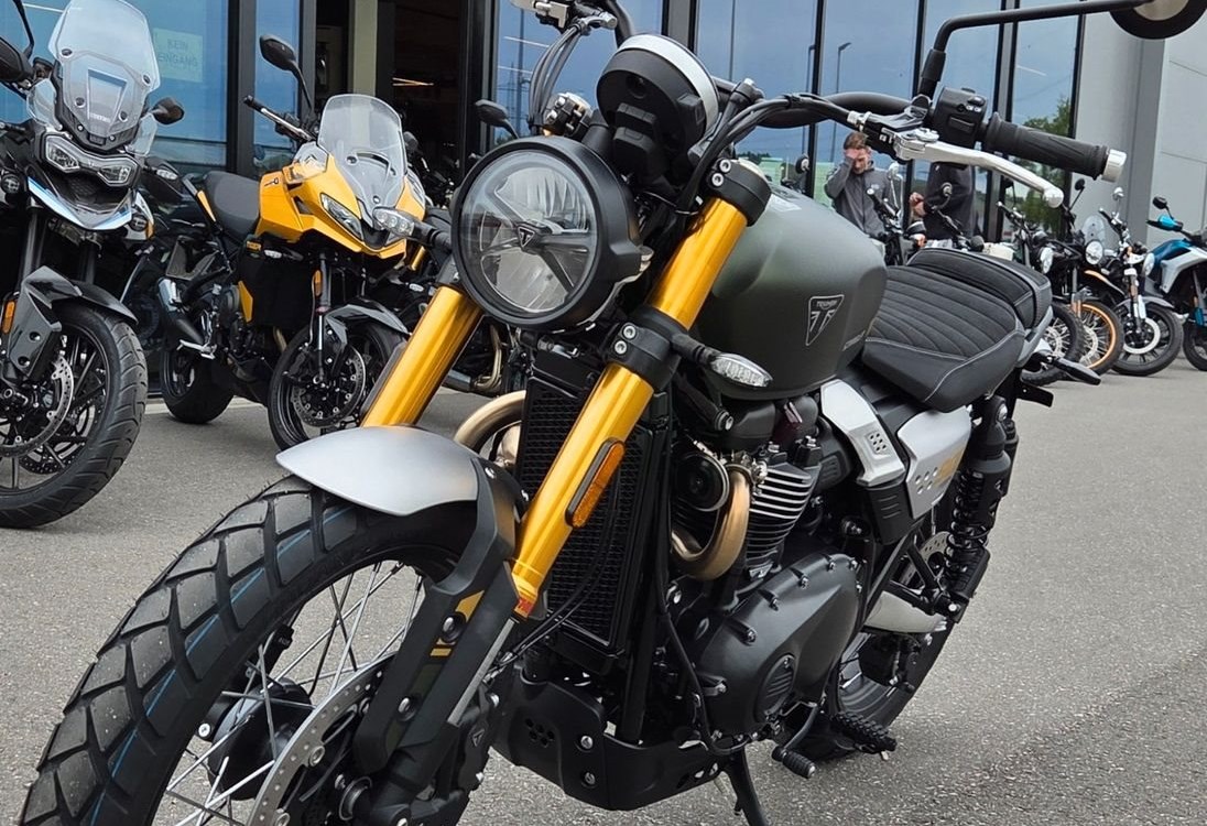 Angebot Triumph Scrambler 900