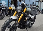 Angebot Triumph Scrambler 900