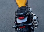 Angebot Triumph Scrambler 900