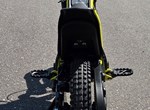Angebot Triumph TXP-12