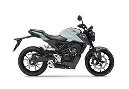 Gebrauchte Honda CB125R