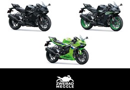 Neumotorrad Kawasaki Ninja ZX-6R