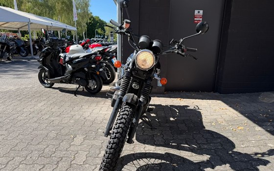 Gebrauchtmotorrad Triumph Scrambler 900 - Bild 15