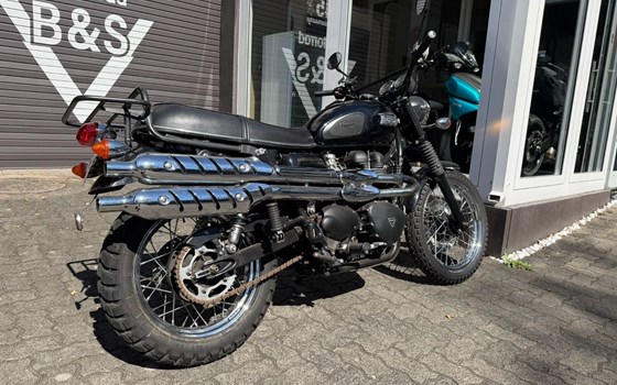 Gebrauchtmotorrad Triumph Scrambler 900 - Bild 3