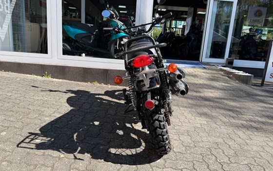 Gebrauchtmotorrad Triumph Scrambler 900 - Bild 4