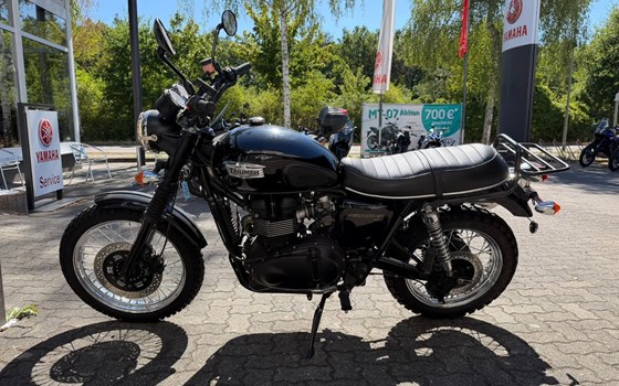 Gebrauchtmotorrad Triumph Scrambler 900 - Bild 6
