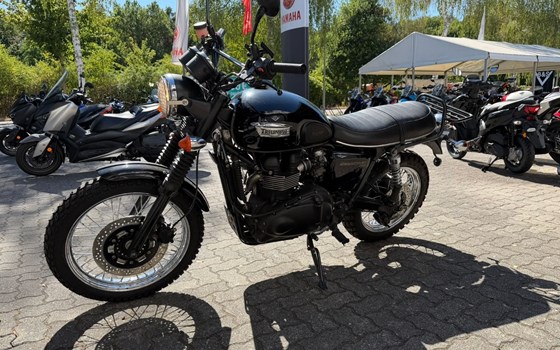Gebrauchtmotorrad Triumph Scrambler 900 - Bild 7