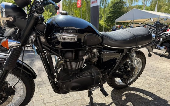 Gebrauchtmotorrad Triumph Scrambler 900 - Bild 8