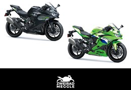 Neumotorrad Kawasaki Ninja ZX-4RR