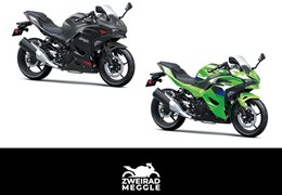 Neumotorrad Kawasaki Ninja 500 SE