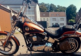 Gebrauchte Harley-Davidson Softail Custom FXSTC