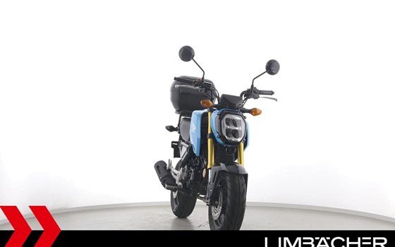Gebrauchtmotorrad Honda MSX125 Grom - Bild 11