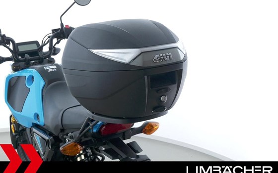 Gebrauchtmotorrad Honda MSX125 Grom - Bild 16