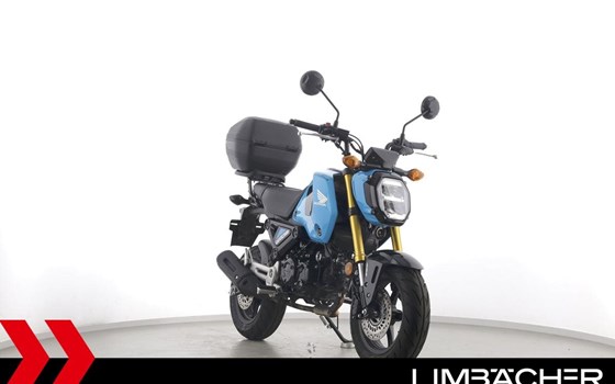 Gebrauchtmotorrad Honda MSX125 Grom - Bild 2