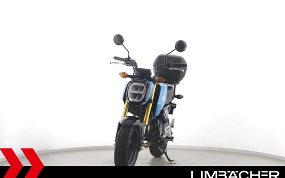 Gebrauchtmotorrad Honda MSX125 Grom - Bild 3