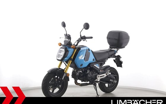 Gebrauchtmotorrad Honda MSX125 Grom - Bild 4