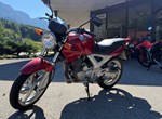 Angebot Honda CBF 250