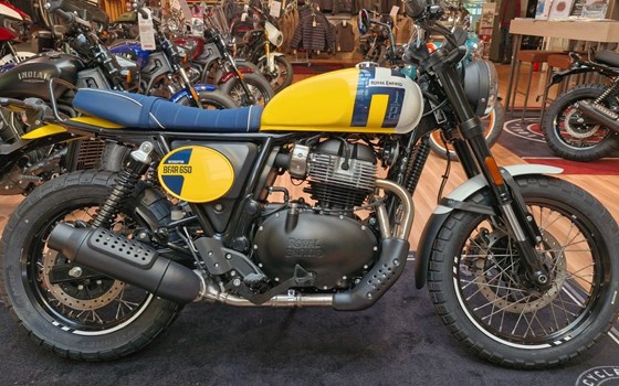 Neufahrzeug Royal Enfield Bear 650 - Bild 1